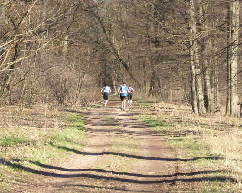6. Ludwig-Leichhardt-Trail Ultralauf_236